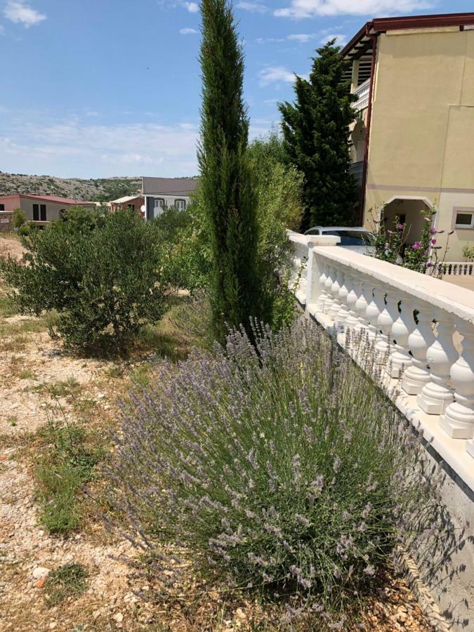 Apartmani Gabi Чезарица Экстерьер фото